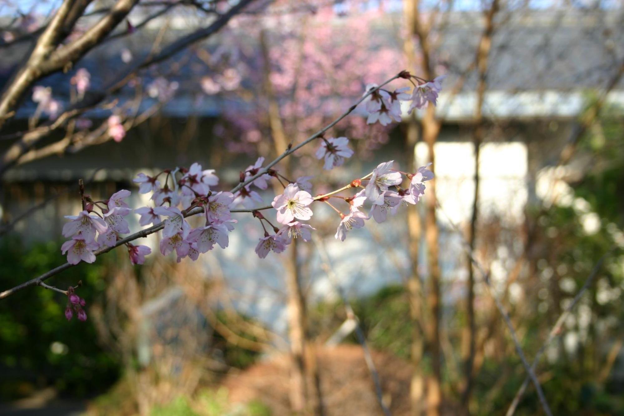 Hanafubuki Hotel Ito  Bagian luar foto