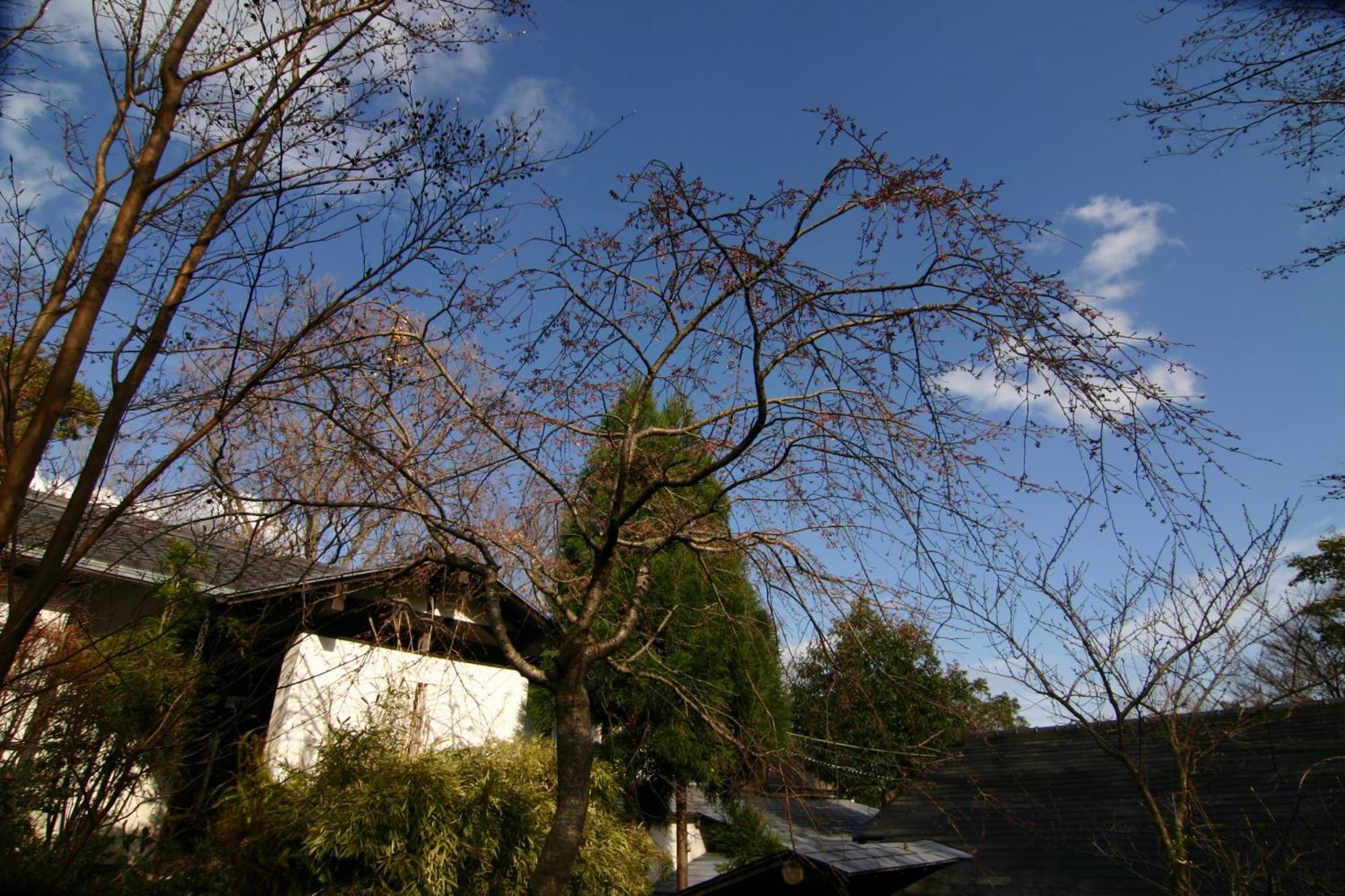 Hanafubuki Hotel Ito  Bagian luar foto