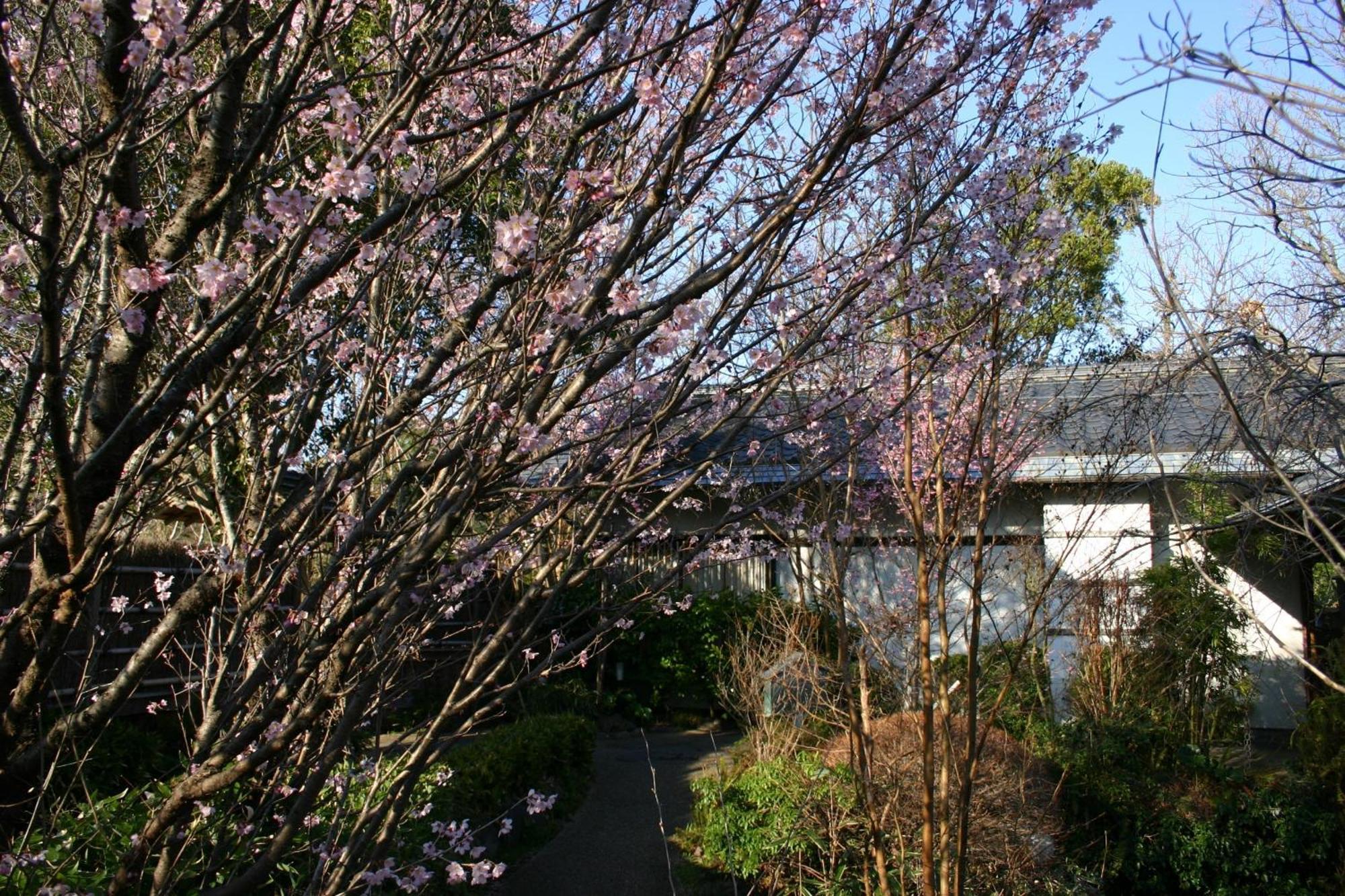 Hanafubuki Hotel Ito  Bagian luar foto